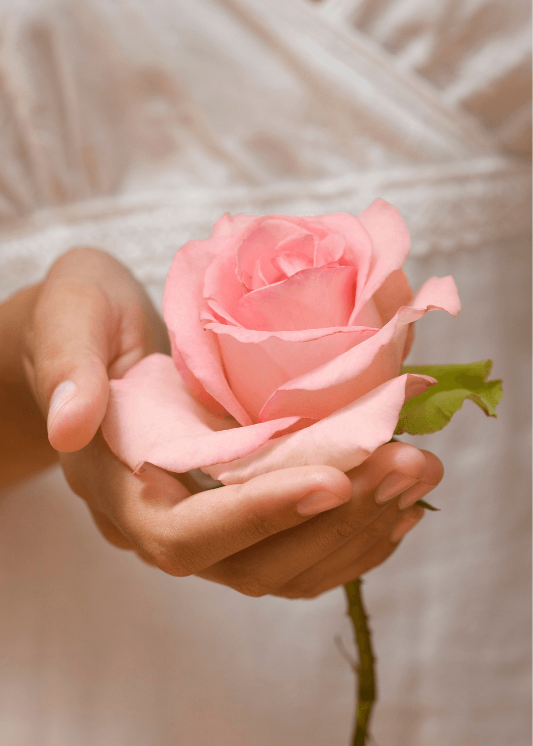 Rose tenue dans une main — symbole du féminin sacré.